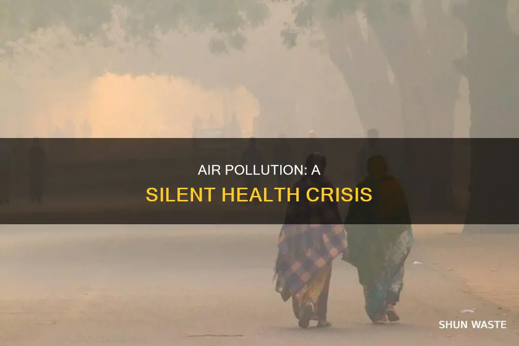 what healt problems occur with air pollution