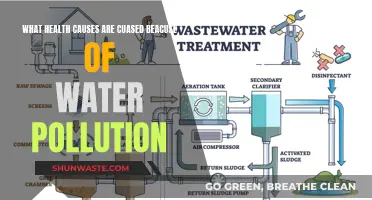 Unveiling the Hidden Health Hazards: Water Pollution's Impact