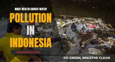 Unveiling Indonesia's Water Woes: Health's Hidden Contributors