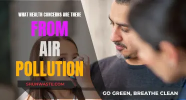 Air Pollution: Health Hazards and Concerns