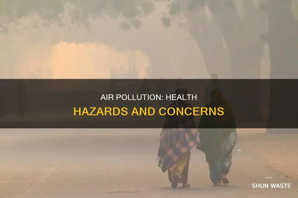 what health concerns are there from air pollution