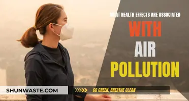 Air Pollution: Understanding Its Impact on Our Health