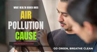 Air Pollution: The Silent Health Crisis