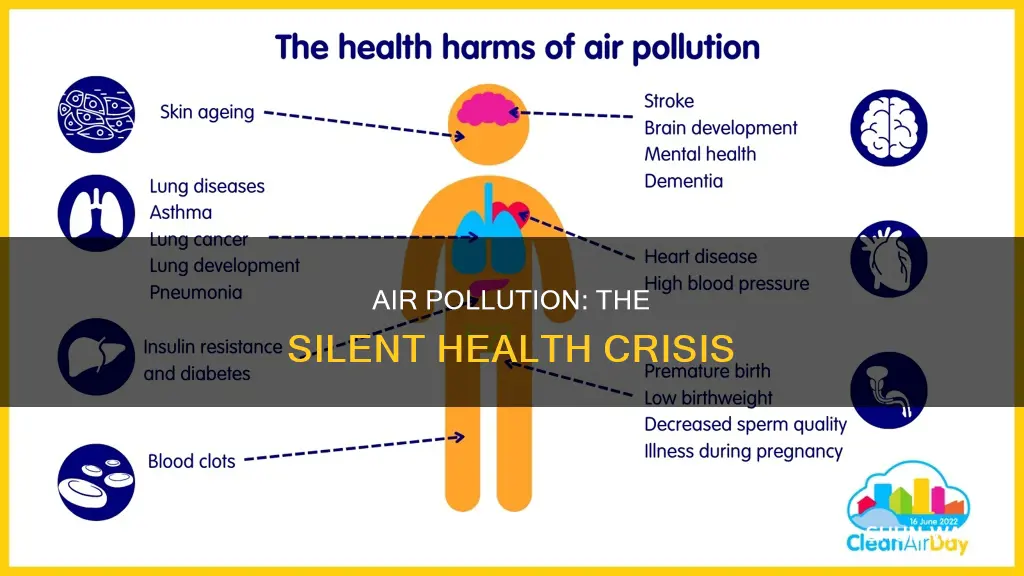 what health issues does air pollution cause