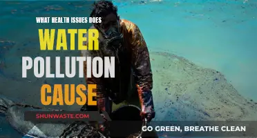 Unseen Dangers: Water Pollution's Impact on Human Health