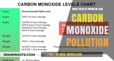 Unseen Danger: Carbon Monoxide's Health Hazards