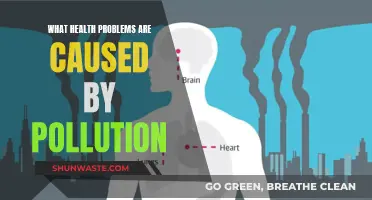 Unveiling the Health Hazards: Pollution's Impact on Our Well-being