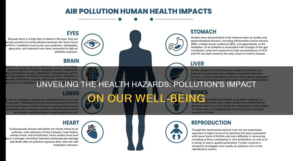 what health problems are caused by pollution