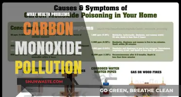 Carbon Monoxide Pollution: A Silent Health Hazard