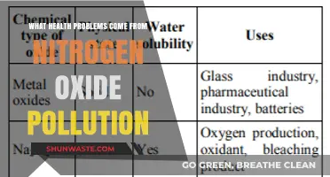 Nitrogen Oxide Pollution: Health Hazards and Risks
