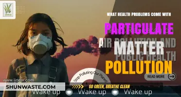 Particulate Matter: Health Hazards and Risks