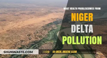 Niger Delta Pollution: Health Crisis and Solutions