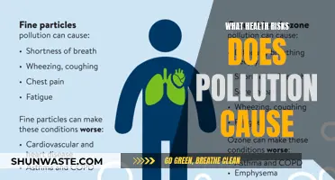 Unveiling the Hidden Dangers: How Pollution Impacts Your Health