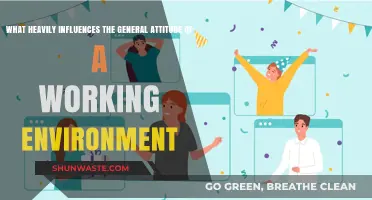 Key Factors Shaping Workplace Culture and Employee Attitudes