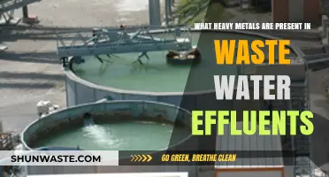 Heavy Metals in Wastewater: Identifying Contaminants in Effluent Discharge