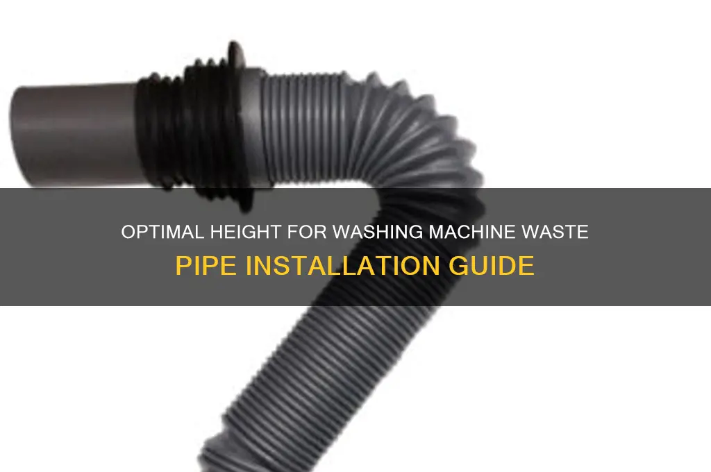 what height should washing machine waste pipe be
