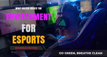 The Rise of Esports: Key Factors Shaping Its Thriving Ecosystem