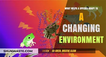 Adapt or Perish: Key Factors Driving Species Survival in Changing Environments