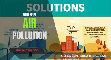 Green Solutions to Combat Air Pollution