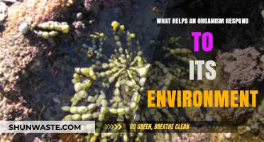 How Organisms Adapt: Key Mechanisms for Environmental Response and Survival