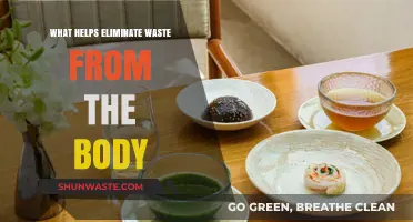 Effective Ways to Detoxify and Eliminate Waste from Your Body