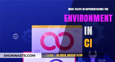 Key CI Environment Differentiators: Tools, Strategies, and Best Practices
