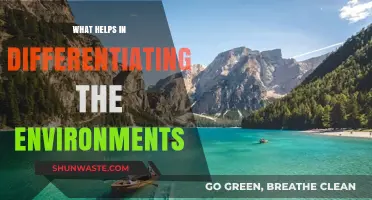 Key Factors That Distinguish and Define Unique Environments Clearly