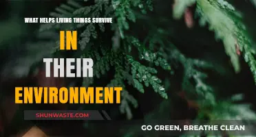 Adaptations and Strategies: How Living Things Thrive in Their Environments