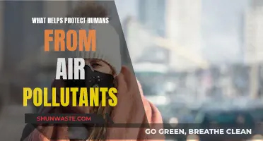 Protecting Ourselves: Fighting Air Pollution's Harmful Effects