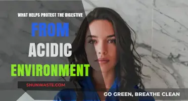 Shielding Your Digestive System: Strategies to Combat Acidic Environments