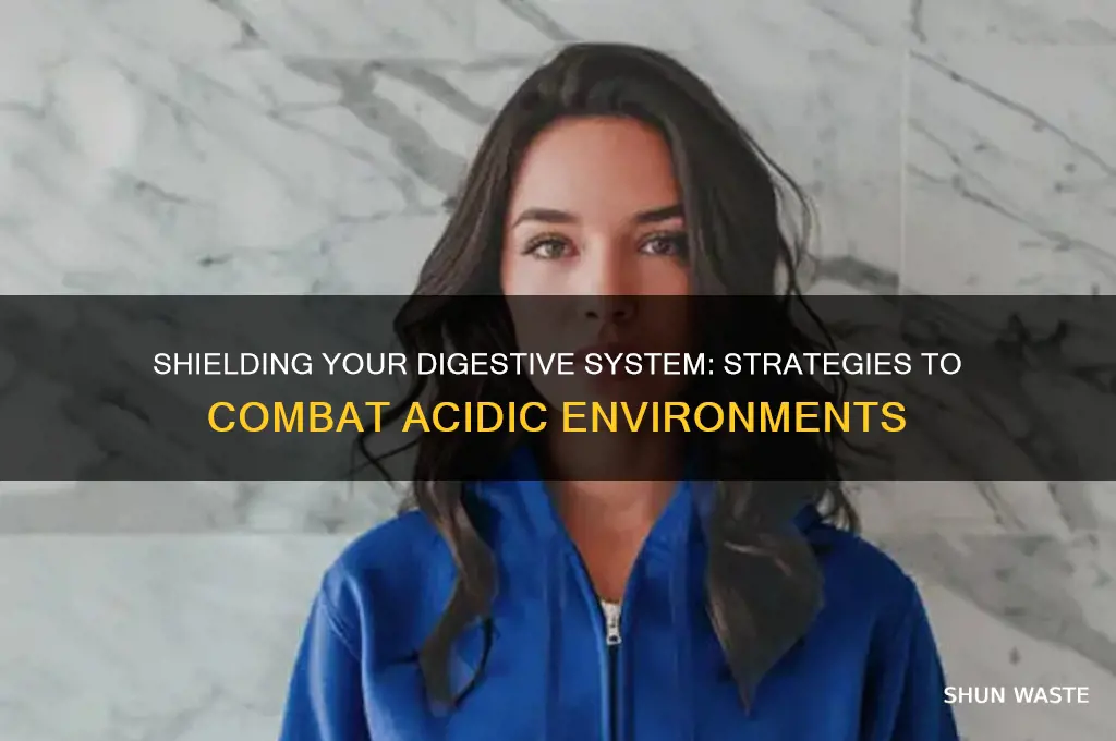 what helps protect the digestive from acidic environment