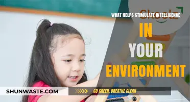 Boosting Brain Power: Environmental Factors That Stimulate Intelligence