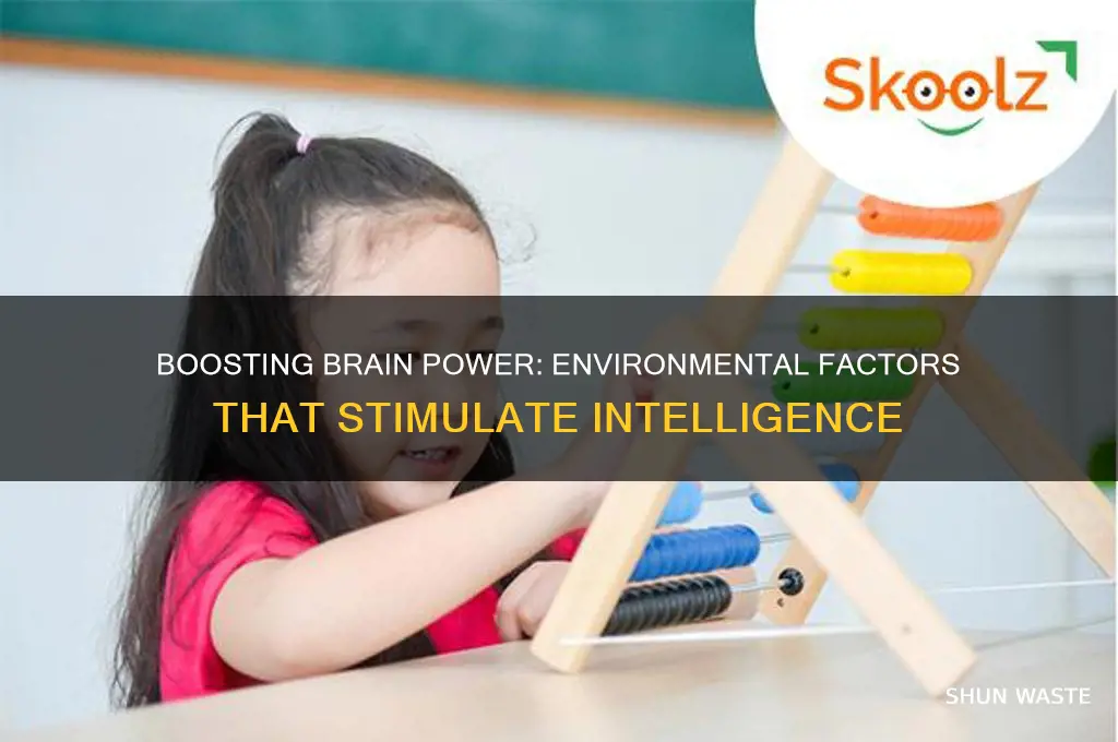 what helps stimulate intelligence in your environment