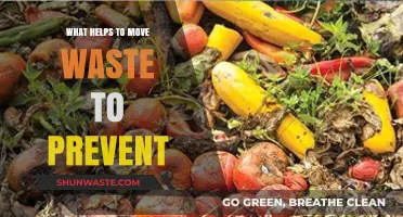 Effective Strategies to Prevent Waste Buildup and Promote Healthy Digestion