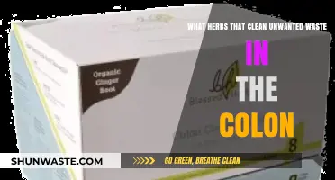 Herbs to Detox: Natural Colon Cleansers for Waste Removal