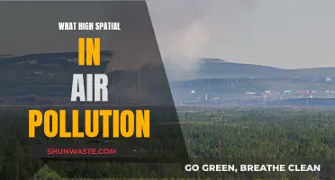 Air Pollution's Spatial Impact: A Critical Analysis