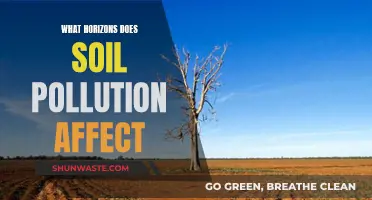 Soil Pollution's Impact: From Agriculture to Human Health