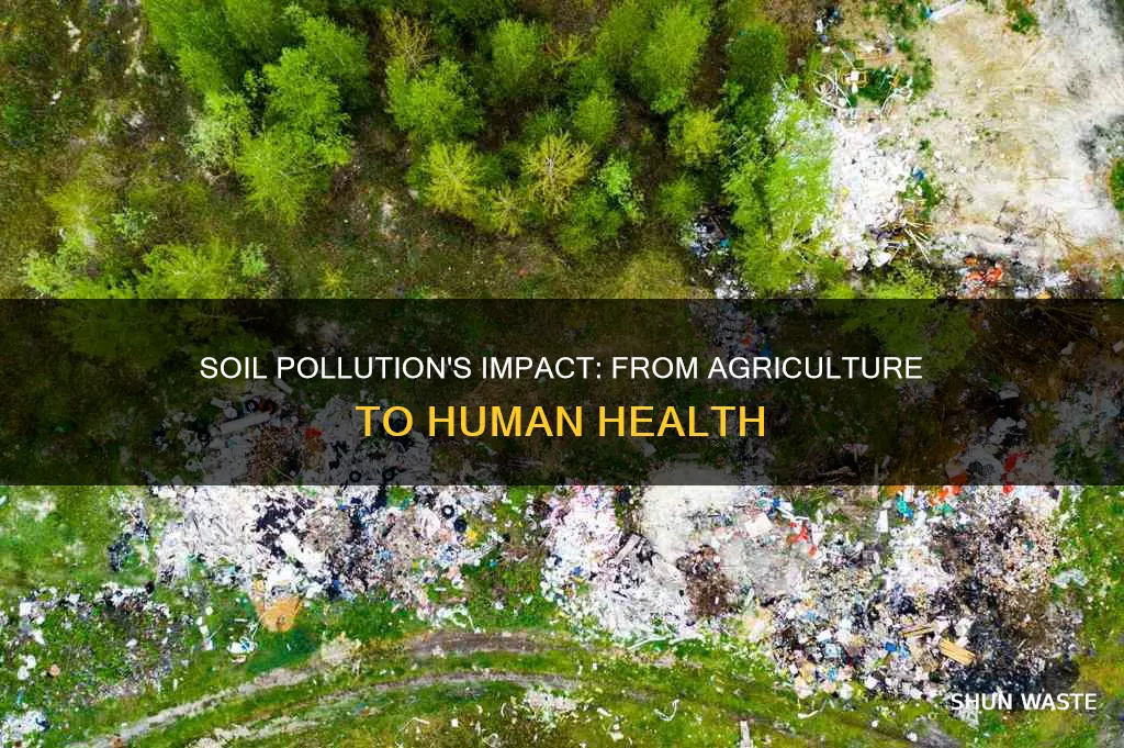 what horizons does soil pollution affect