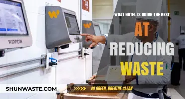 Sustainable Stays: Top Hotels Leading the Way in Waste Reduction