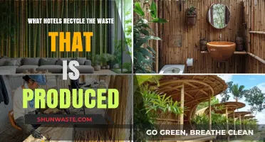 Eco-Friendly Stays: Hotels Leading Waste Recycling Initiatives Globally