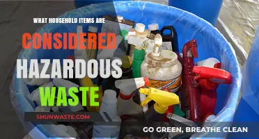 Everyday Dangers: Identifying Hazardous Waste in Your Home