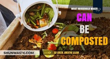 Eco-Friendly Disposal: A Guide to Compostable Household Waste