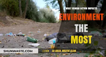 Human Actions and Their Environmental Impact: The Most Destructive Habits