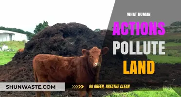 Human Actions: Polluting Our Land