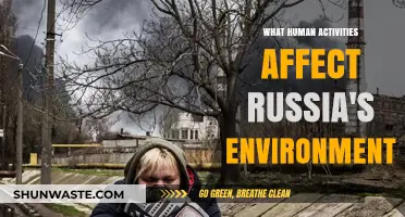 Human Actions Impacting Russia's Environment: Key Activities and Effects