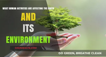 Human Actions Impacting Earth: Activities Harming Our Environment and Planet
