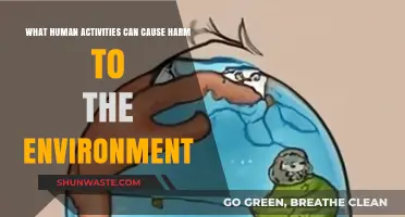 Human Actions Harming Our Planet: Key Activities and Their Impact