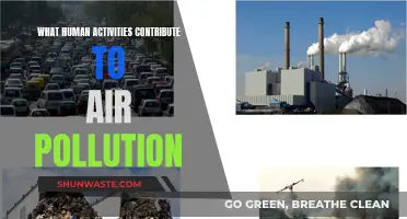 Human Activities: Air Pollution's Dark Secrets
