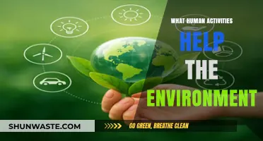 Sustainable Actions: How Human Activities Can Positively Impact the Environment