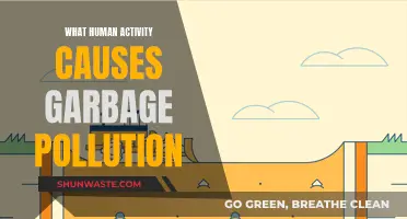 Human Activity: The Root of Garbage Pollution